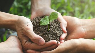 Charitable Work Promotes Global Solidarity