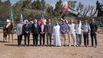 منافسة شرسة في بطولة الإمارات لجمال الخيل