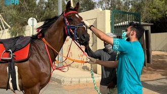 المملكة أعلنت خالية من مرض الرعام