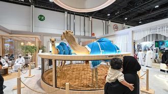 الابتكارات في معرض الصيد والفروسية