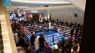 لاس فيغاس تستضيف فعاليات ملاكمة مثيرة