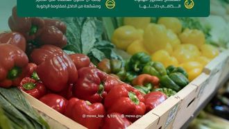 معايير جديدة لتغليف الفواكه والخضروات