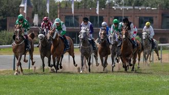 Belgian Summit Hosts UAE President’s Cup Champions