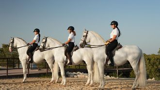 Abu Dhabi Royal Equestrian Arts Opening Ceremony