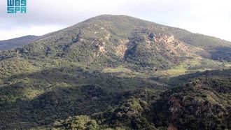 حلول الزراعة الحراجية المستدامة في تونس