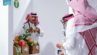 Boosting Sales Of Al-Baha Pomegranates Online