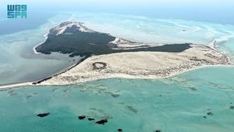 جزر البراك: جوهرة بحرية في عسير