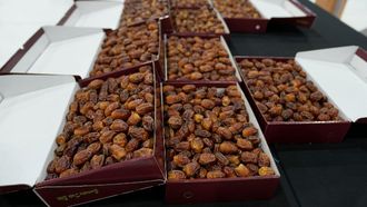 Al Dhafra Dates Festival Begins Tomorrow