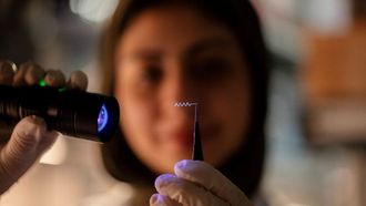 NYU Abu Dhabi Unveils New Brain Implant