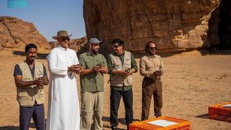 إطلاق طيور الحجل لدعم التنوع البيولوجي