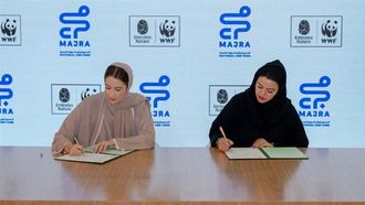 Empowering Youth For Environmental Sustainability