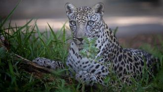 EPAA Showcases Environmental Efforts At IUCN Congress