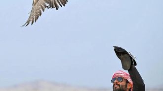 Almojermah: A Key Falconry Heritage Site