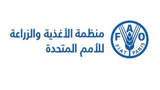 FAO Marks 80 Years At Global Food Week