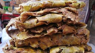 بني خداش تحتفل بمهرجان غربوز