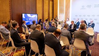 Flexible Governance Models For Global Stability