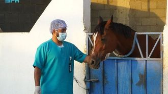 وقاية تعزز مبادرات صحة الخيول في المملكة