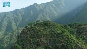 Rijal Almaa~~s Green Meadows Support Agriculture