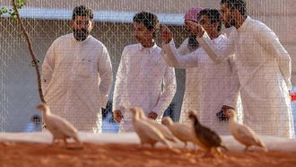 New Safari Zone At Saudi Falcons Exhibition