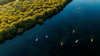 Sharjah Showcases Heritage At WTM London