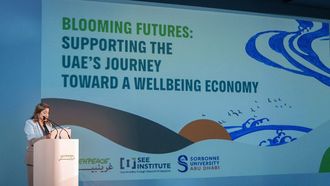 UAE~~s Path To A Wellbeing Economy