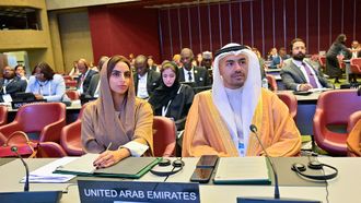 UAE Calls For UN Reforms On Peace And Sustainability