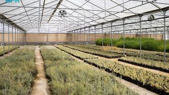 مركز الجوف يعزز الاستدامة البيئية