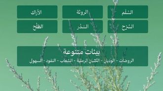 أهم النباتات المحلية لتشجير الرياض