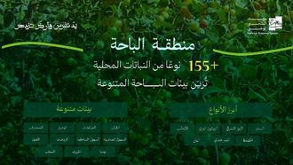 النباتات المحلية الرئيسية لتشجير الباحة