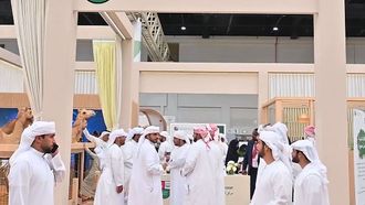 الكشف عن استنساخ الذئاب العربية المهددة بالانقراض