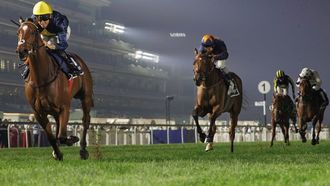 Dubai Racing Carnival Opens With 73 Horses