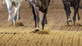 كرنفال دبي لسباقات الخيل يشهد مشاركة دولية قوية