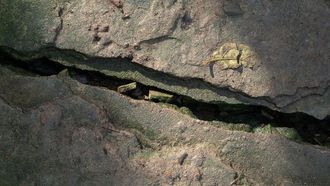 انقسام جيولوجي بطيء في أفريقيا