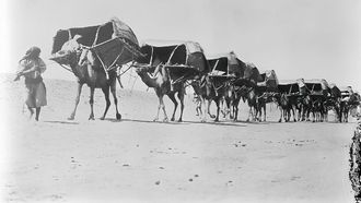 وزارة الحج تستعرض تطورات النقل في الحج