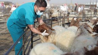 تعزيز الأمن الحيوي من خلال الحجر البيطري