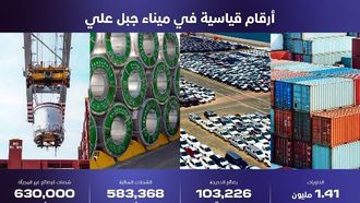 ميناء جبل علي يحقق رقمًا قياسيًا في مناولة البضائع السائبة