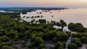 EAD And INPEX JODCO Foundation Join Forces