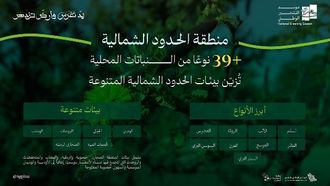 جهود التشجير تزدهر في الحدود الشمالية