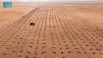 زراعة 20 ألف شتلة في واحة الغد