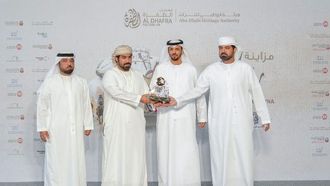 مسابقة رزين للإبل في مهرجان الظفرة