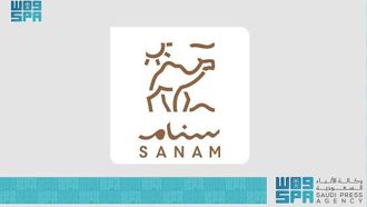 انطلاق مسابقة السنام في مهرجان الهجن