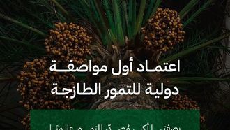السعودية تضع معيارًا عالميًا للتمور