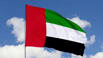 نجاح الأعمال في الإمارات العربية المتحدة من خلال التعايش