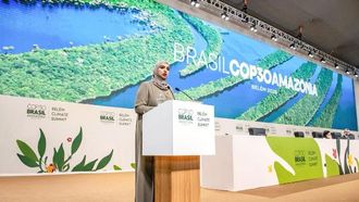 وفد الإمارات العربية المتحدة في قمة بيليم للمناخ