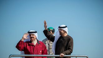 UAE And Bahrain Leaders Attend Military Exercise