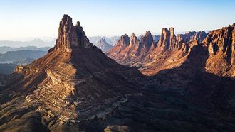White-Tailed Eagle Sighted In Saudi Arabia