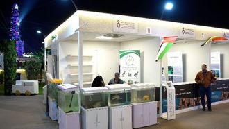 فعاليات مهرجان أبوظبي للاستزراع المائي