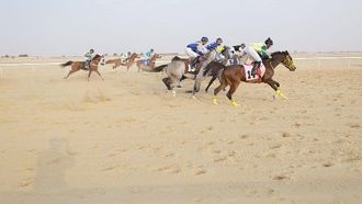 سباق الفروسية التاسع في ميدان أهسا 1447 هـ