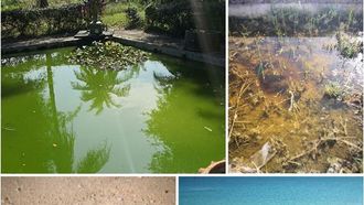 أداة ذكاء اصطناعي من جامعة نيويورك أبوظبي تدعم الطاقة النظيفة