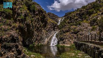 Al-Baha Region Expands Investment Opportunities